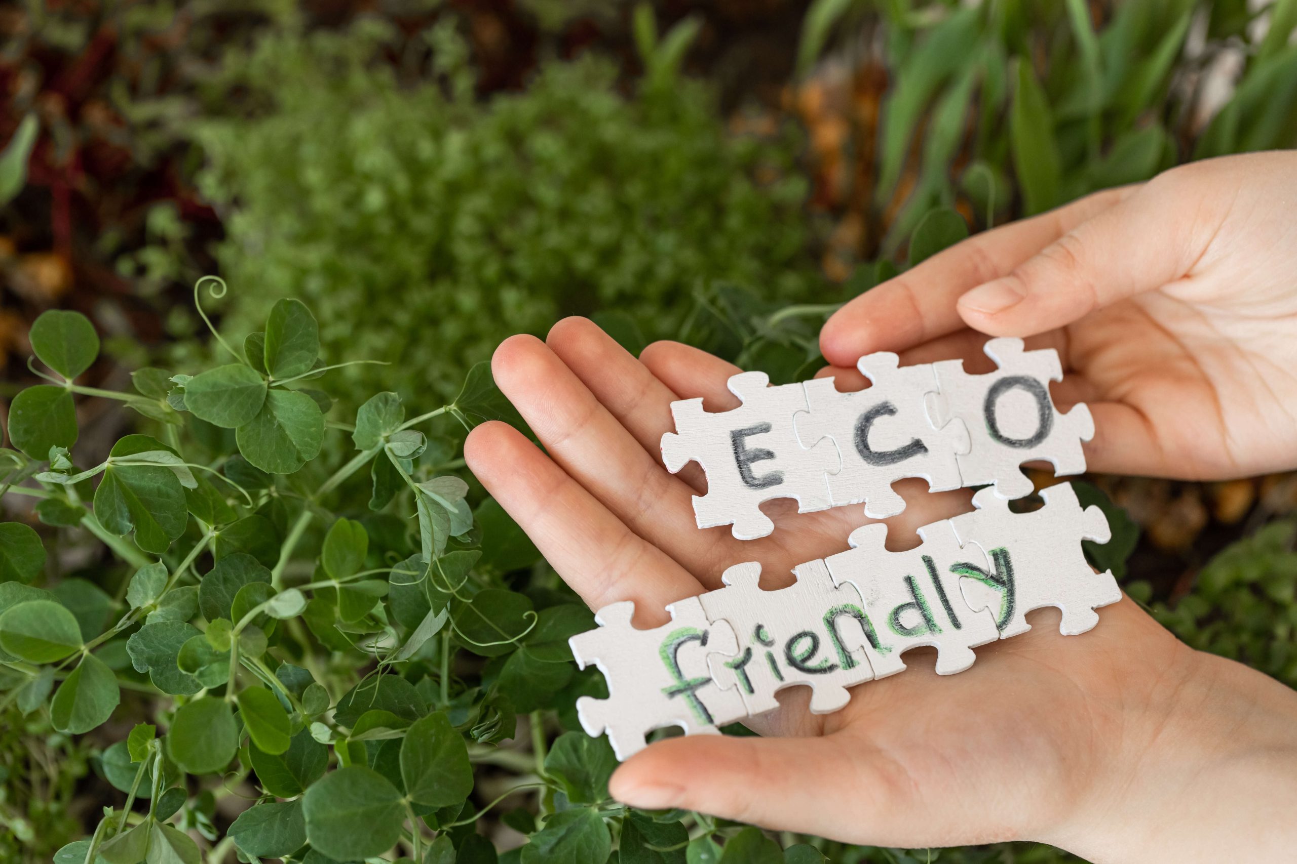 Sustainable living tips